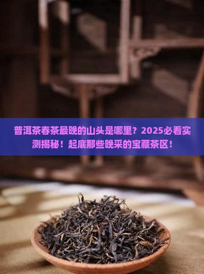 普洱茶春茶最晚的山头