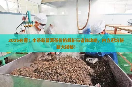 中茶出品新普洱茶价格一览表