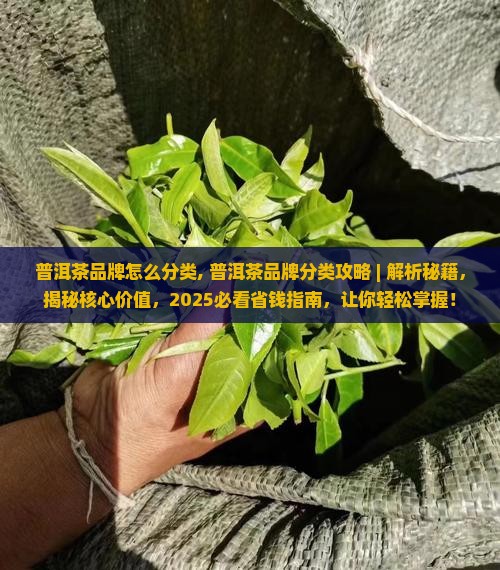 普洱茶品牌怎么分类