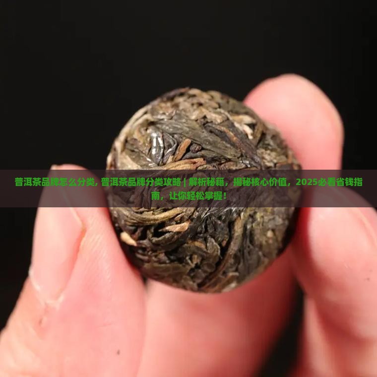 普洱茶品牌怎么分类