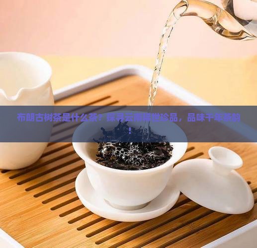 布朗古树茶是什么茶