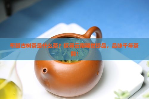 布朗古树茶是什么茶