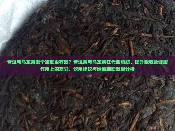 普洱和乌龙茶哪个减肥