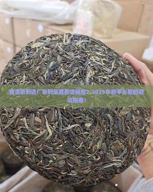普洱茶制造厂家