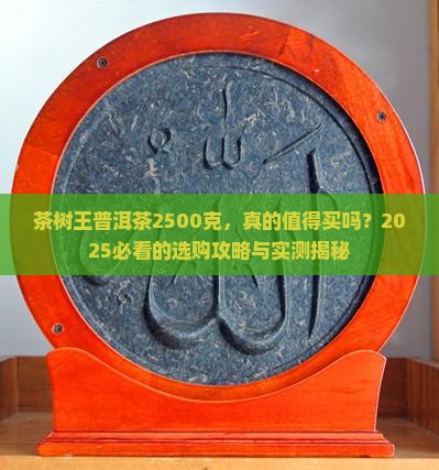 茶树王普洱茶2500克