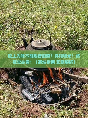 晚上为啥不能喝普洱茶