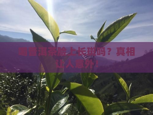 喝普洱茶脸上长斑吗