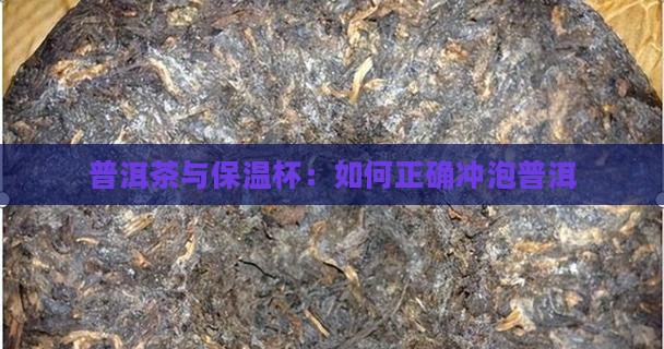 普洱茶怎样用保温杯