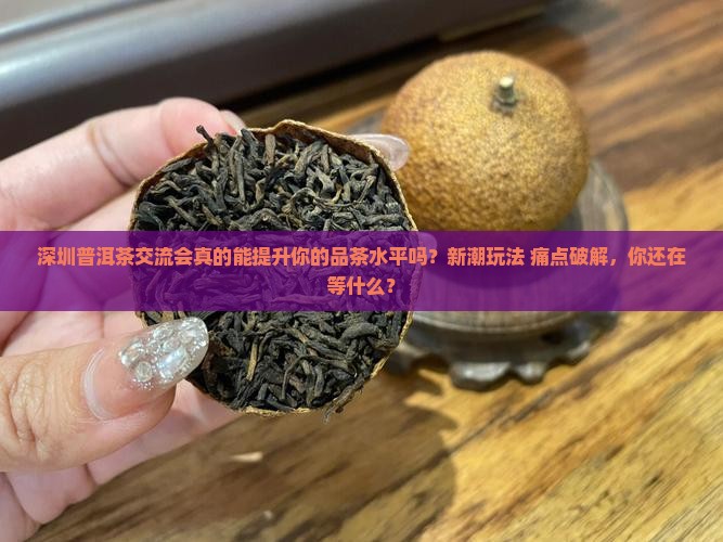 深圳普洱茶交流会