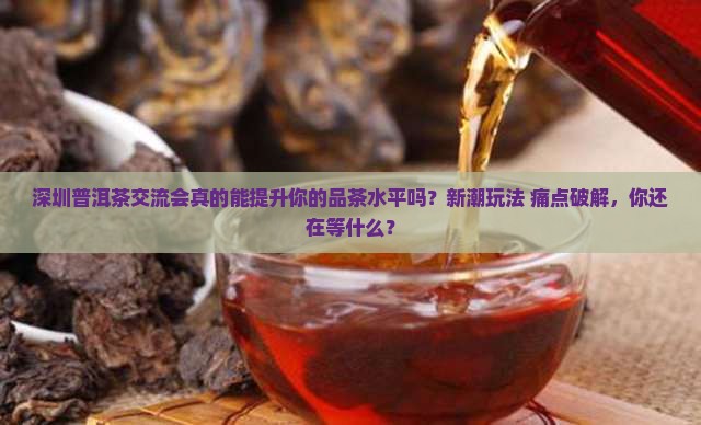 深圳普洱茶交流会