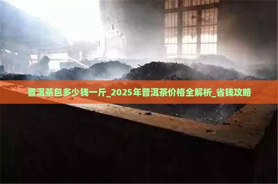 普洱茶包多少钱一斤