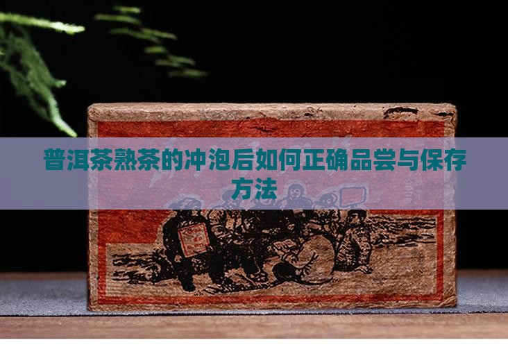 普洱茶熟茶的冲泡后