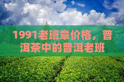 1991的老班章
