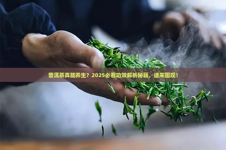 普洱茶有什么功效呢百度百科