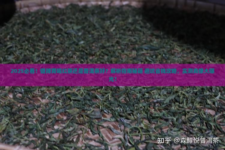 健脾胃喝红茶还是普洱茶好