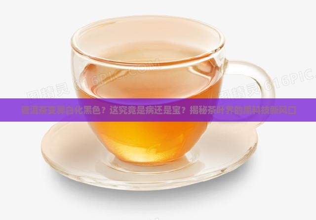 普洱茶变异白化黑色