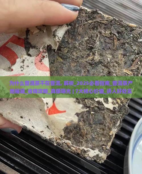 为什么普洱茶不在普洱