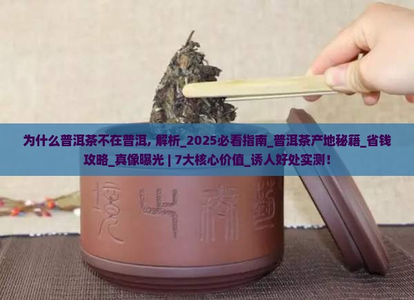 为什么普洱茶不在普洱