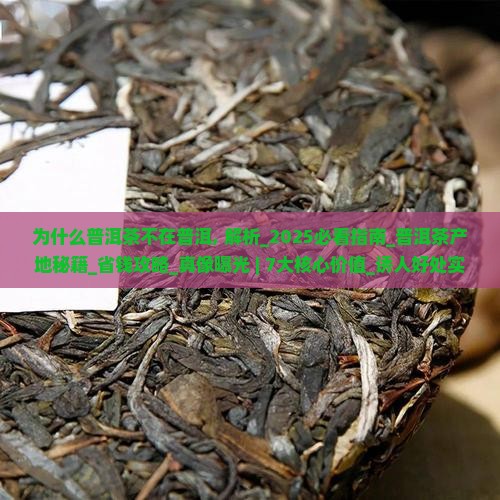 为什么普洱茶不在普洱