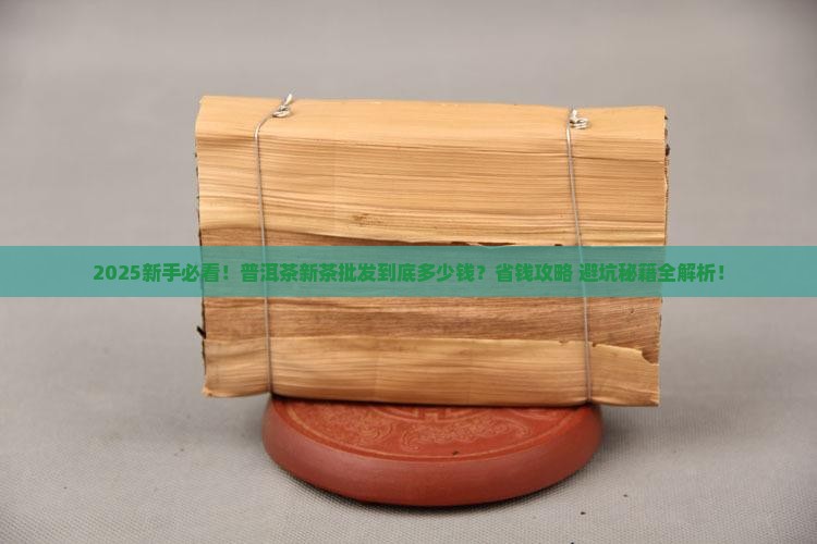 普洱茶新茶批发多少钱