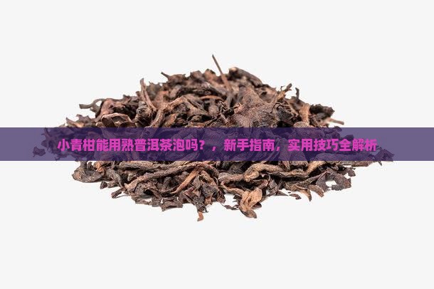 小青柑能用熟普洱茶泡吗