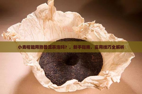 小青柑能用熟普洱茶泡吗