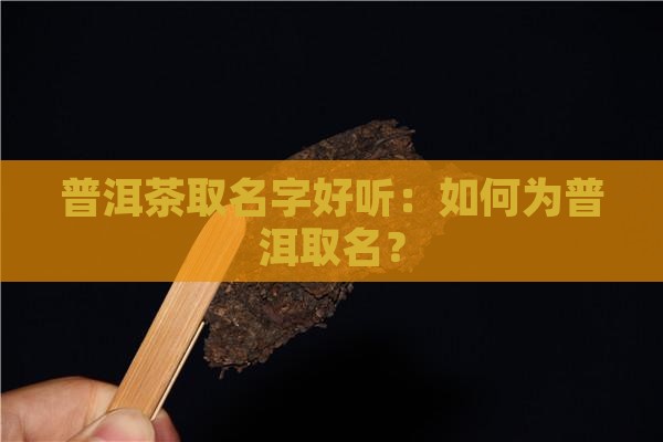 怎样给普洱茶取名字好听