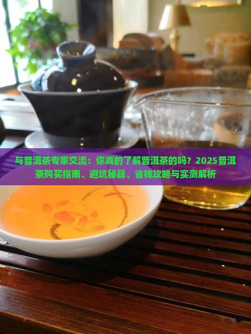 与普洱茶专家交流