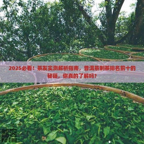 普洱茶制茶大师排名前十