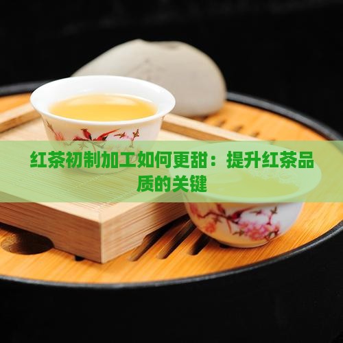 红茶初制加工怎样更甜