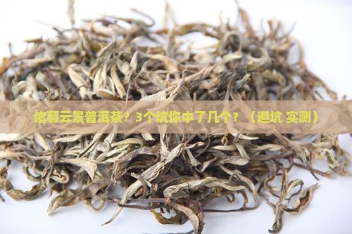 诸葛云景普洱茶