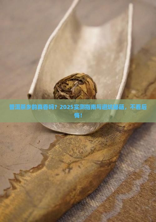 普洱茶乡韵怎么样