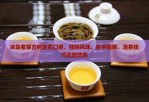 冰岛老寨古树生茶口感