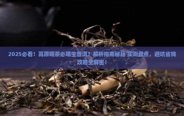 在高原适合喝生普洱茶