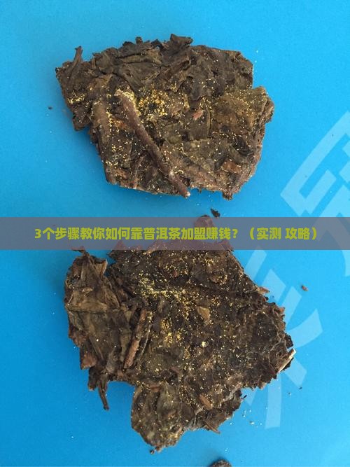 可靠普洱茶如何加盟赚钱