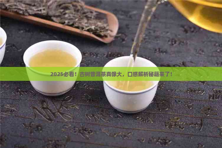 古树普洱茶特点和口感