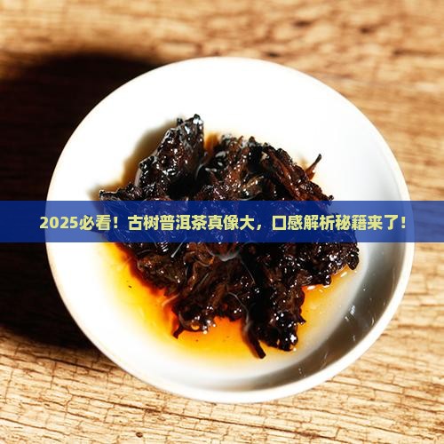 古树普洱茶特点和口感