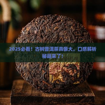 古树普洱茶特点和口感