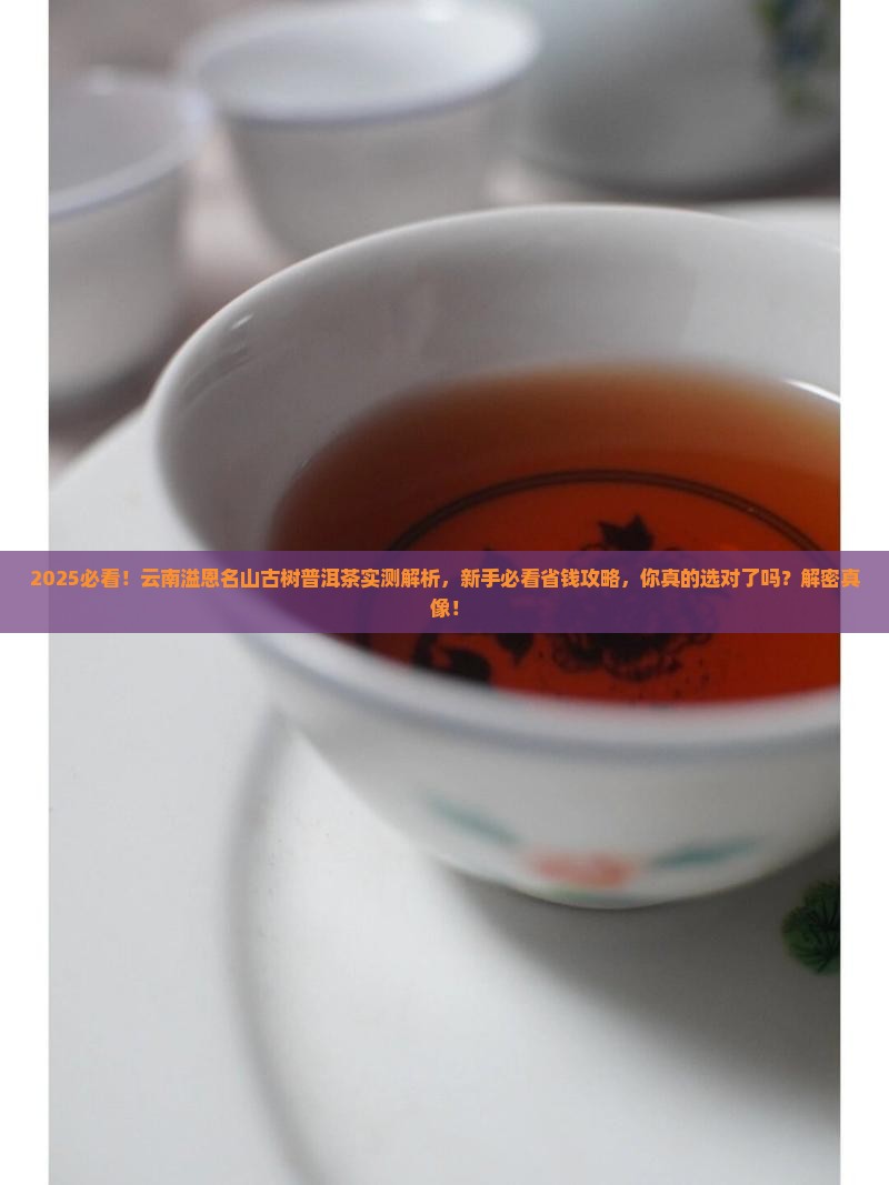 云南溢恩名山古树普洱茶