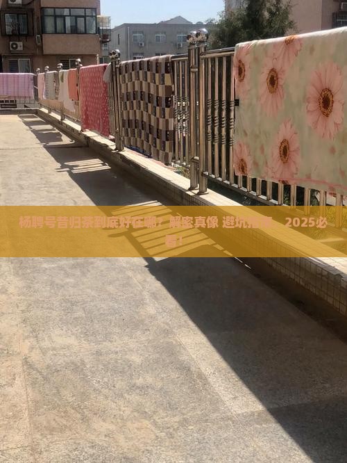 杨聘号昔归茶特点