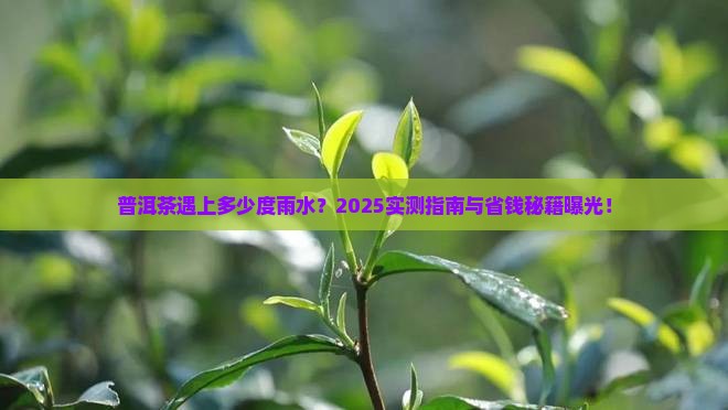 普洱茶雨水多少度