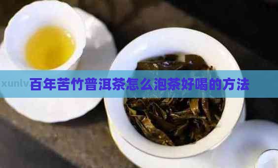 百年苦竹普洱茶怎么泡茶