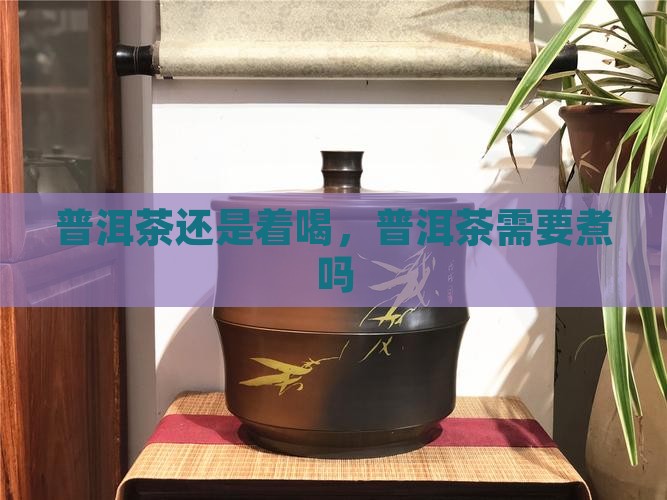 云南普洱茶需要煮吗
