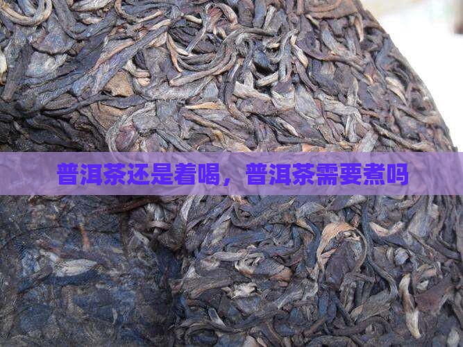 云南普洱茶需要煮吗