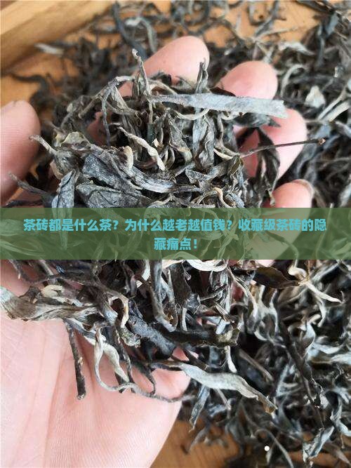 茶砖都是什么茶
