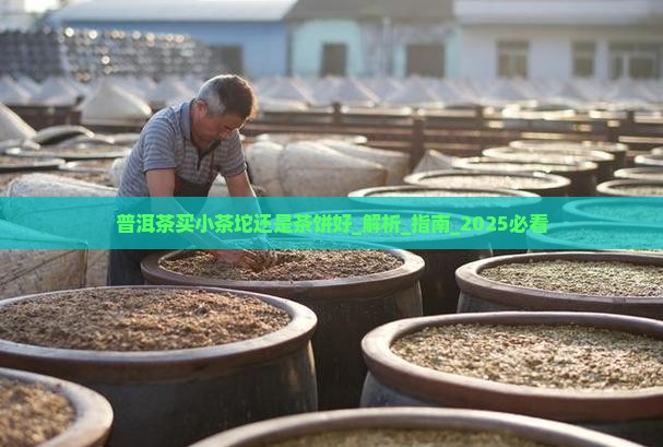 普洱茶买小茶坨还是茶饼好