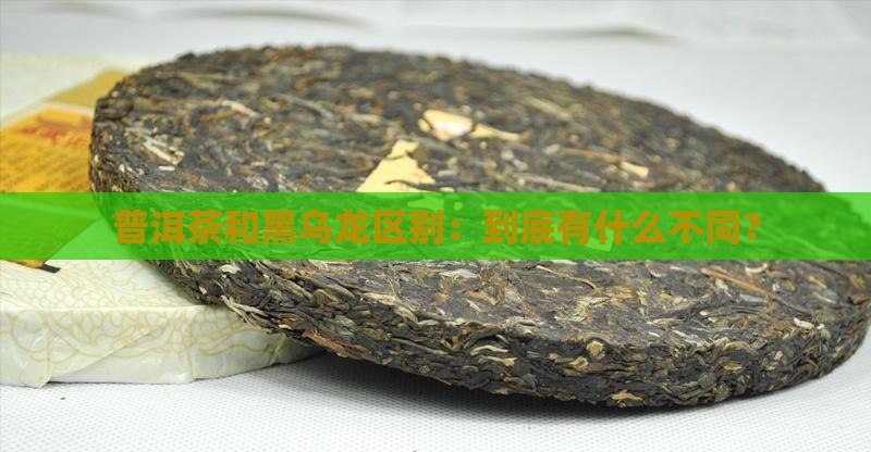 普洱茶和黑乌龙区别