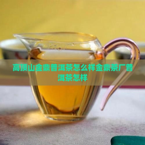 高顶山金鼎普洱茶