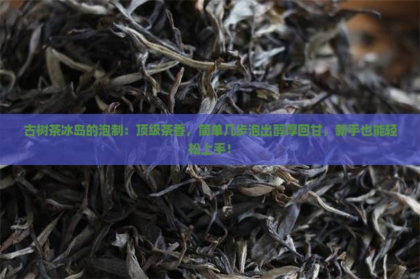 古树茶冰岛的泡制