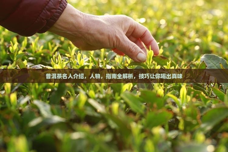 普洱茶名人介绍